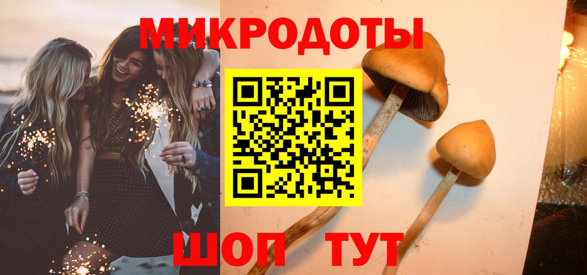 Галлюциногенные грибы мицелий  Псилоцибиновые грибы прущие грибы  Вход с VPN  Орёл 