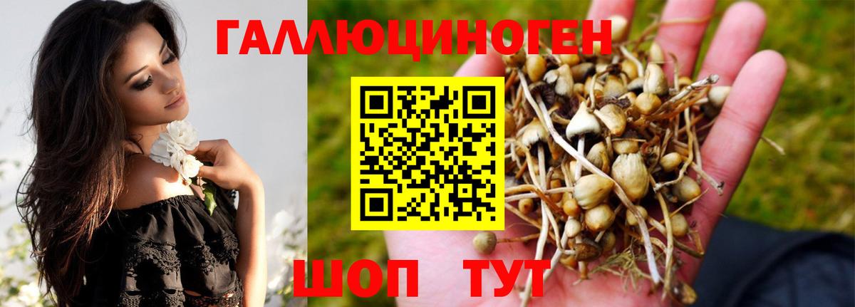 Псилоцибиновые грибы мицелий Орёл